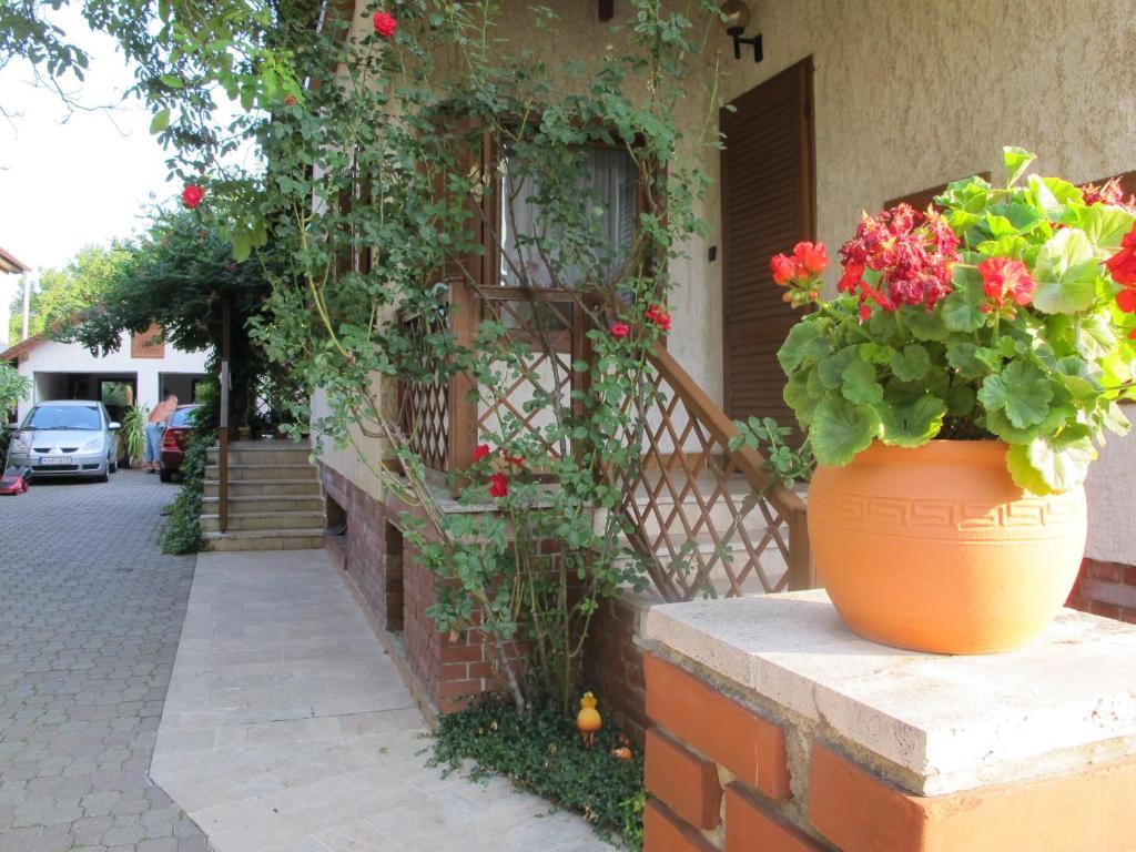 Foki Apartman Sopron Dış mekan fotoğraf